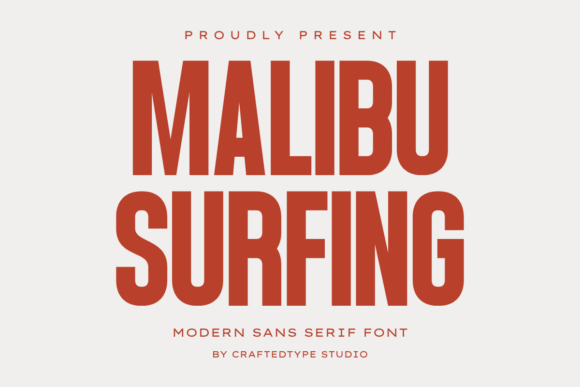 Malibu Surfing